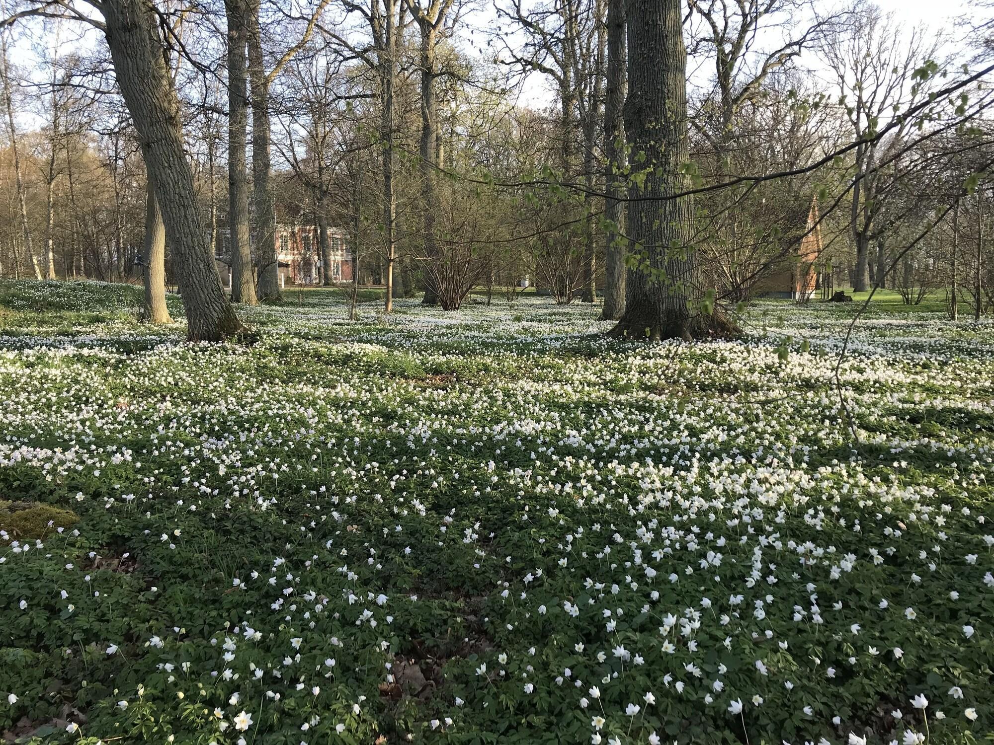 Best Western Valhall Park Hotell Ängelholm Eksteriør bilde